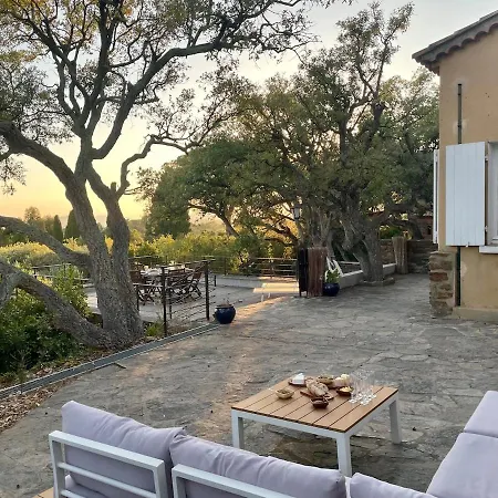 Provencale Vue