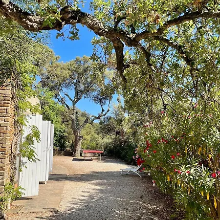 Provencale Vue Vila Bormes-les-Mimosas