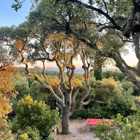 Villa Provencale Vue Bormes-les-Mimosas