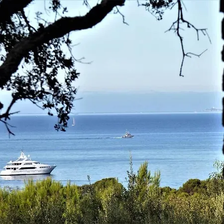 Provencale Vue 博尔马斯·莱斯·米默萨斯